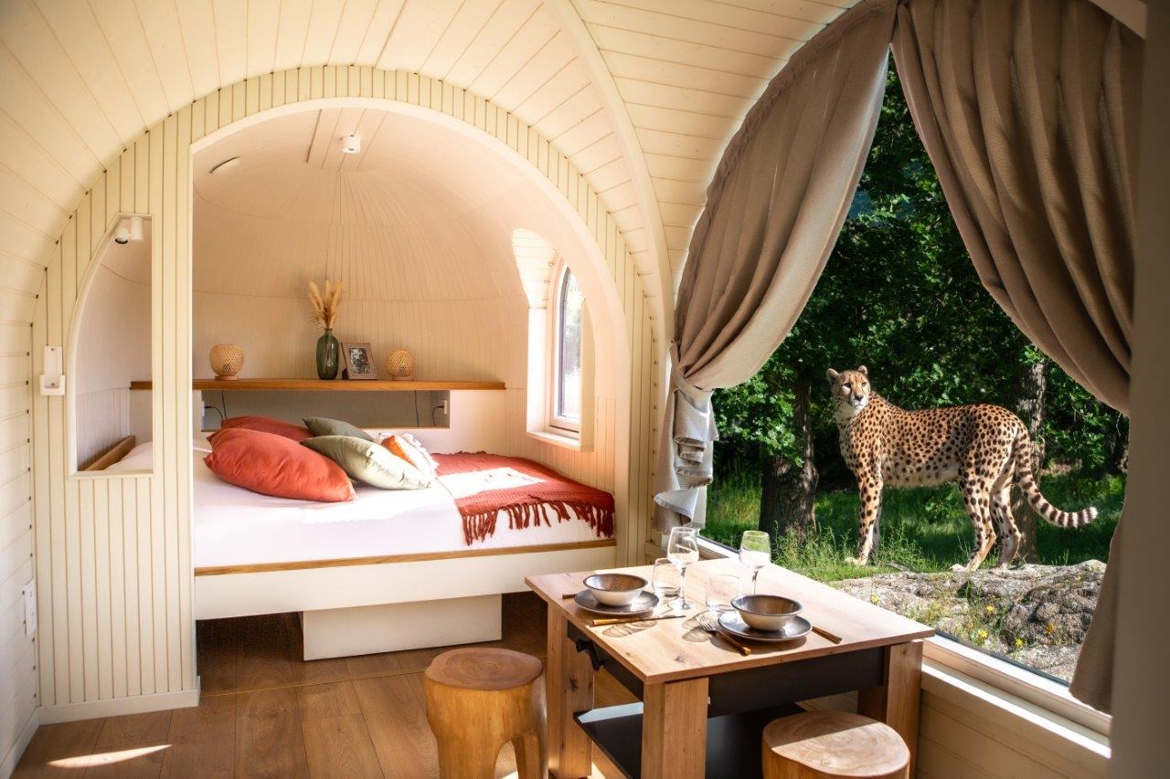 Huttes Guépards Wow Safari Peaugres