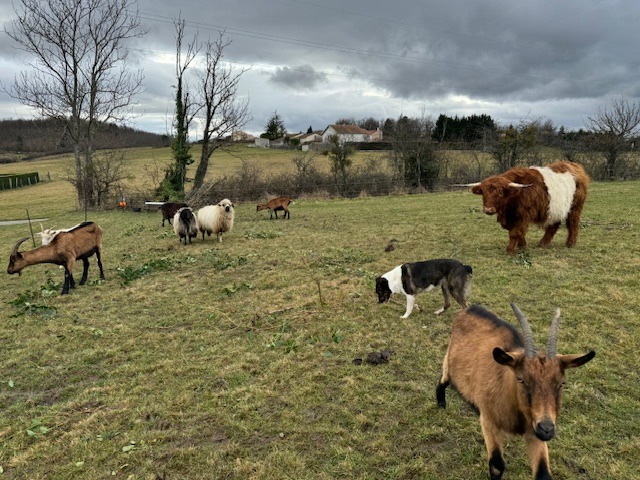 Frédéric Favrolt_Peaugres