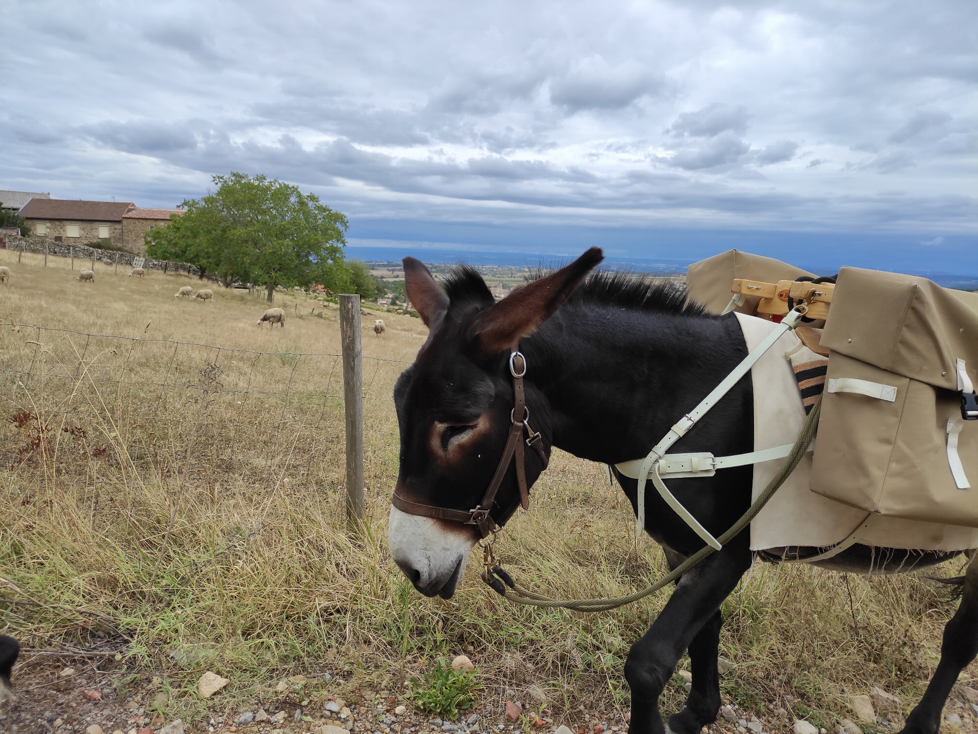 Frédéric Favrolt_Peaugres