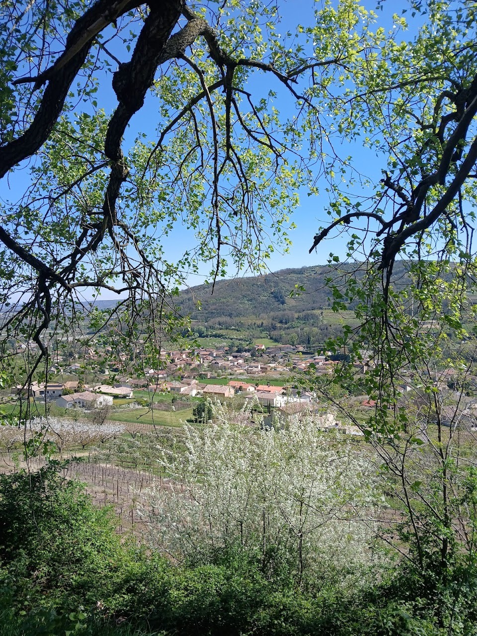 vue du village