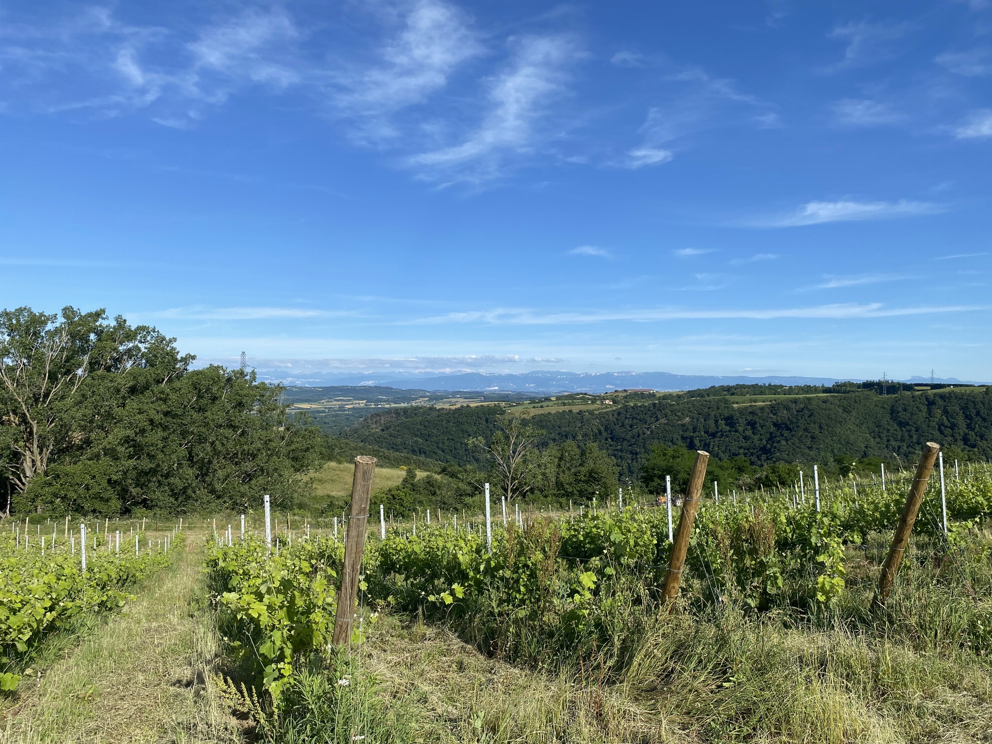 Rando Wine au domaine Peychon_Saint-Vallier