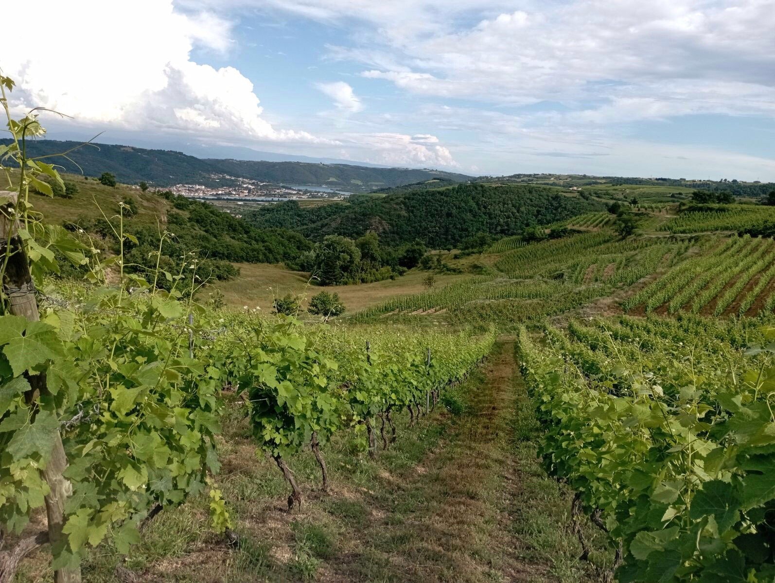 Rando Wine au Domaine Duclot_Sarras