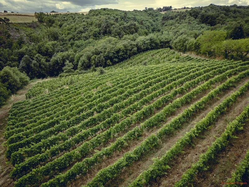 Rando Wine (Le domaine des Bardes)_Eclassan