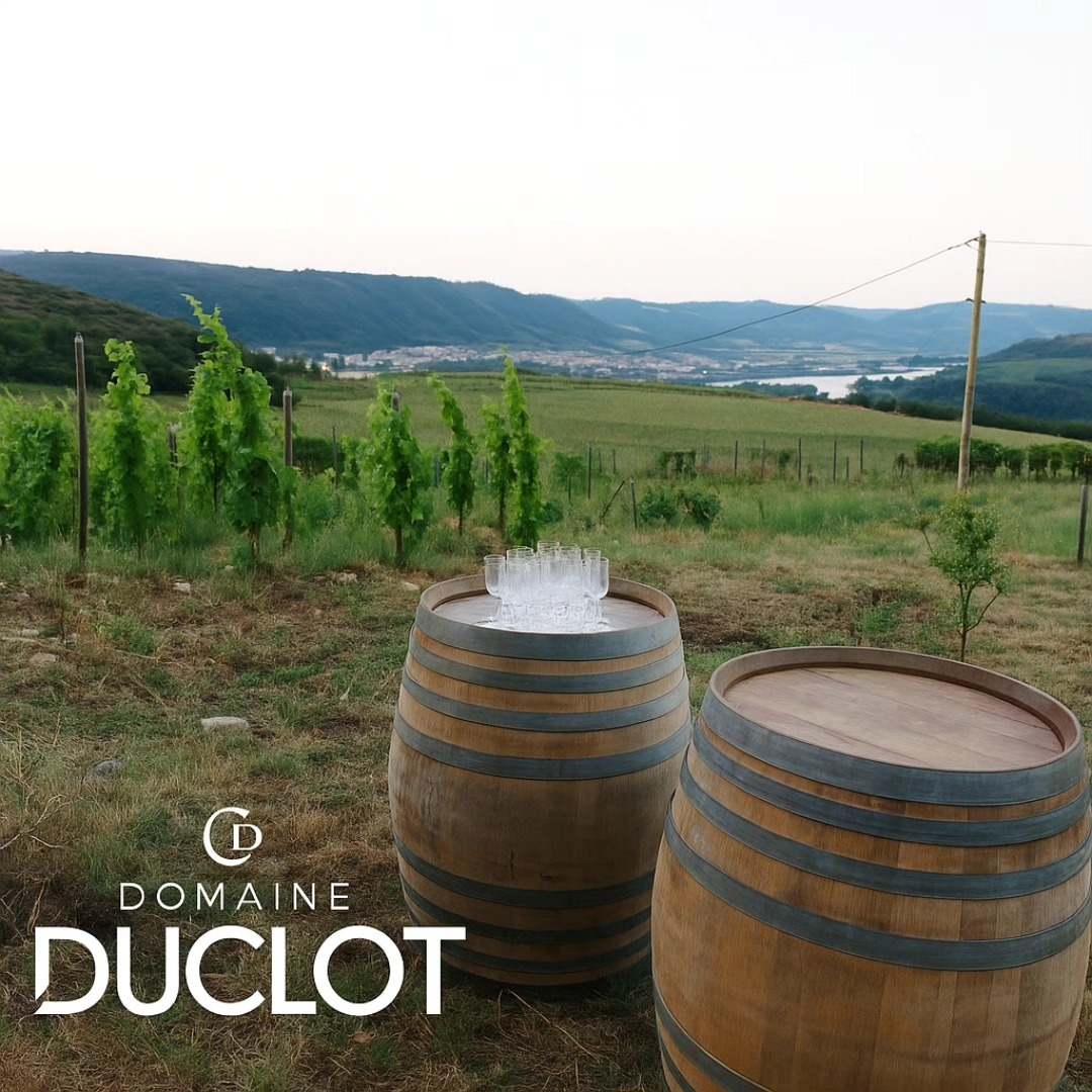 Apéro sunset dans les vignes (Domaine Duclot)_Sarras