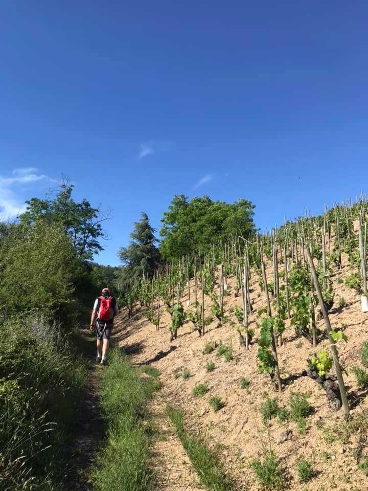Rando Wine à la Cave de Sarras_Sarras