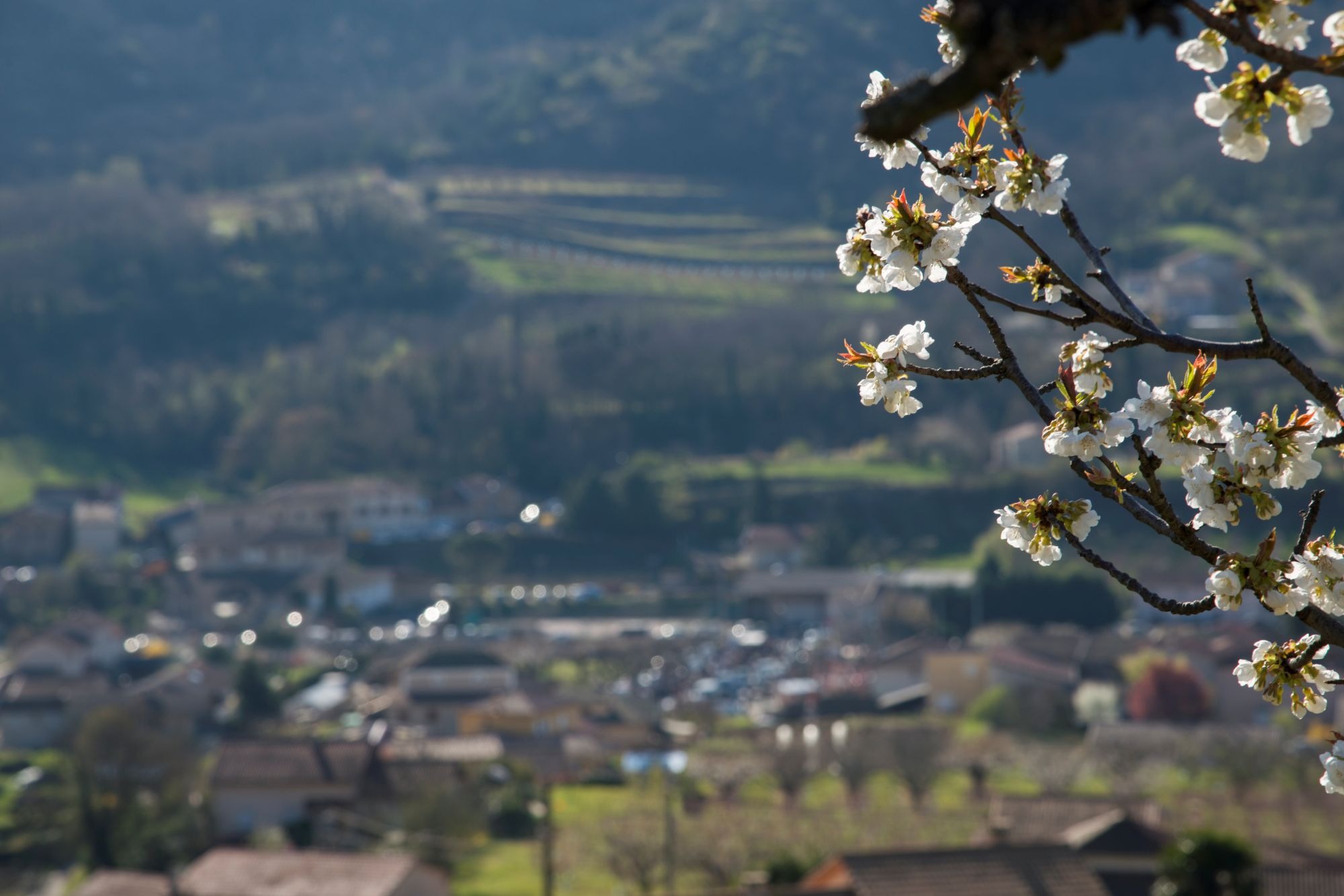 Saint-Désirat_Saint-Désirat