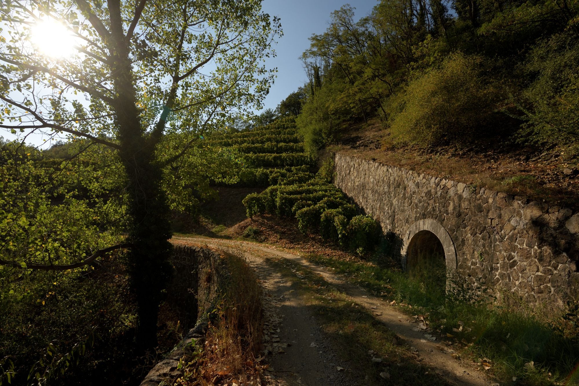 Saint-Désirat_Saint-Désirat