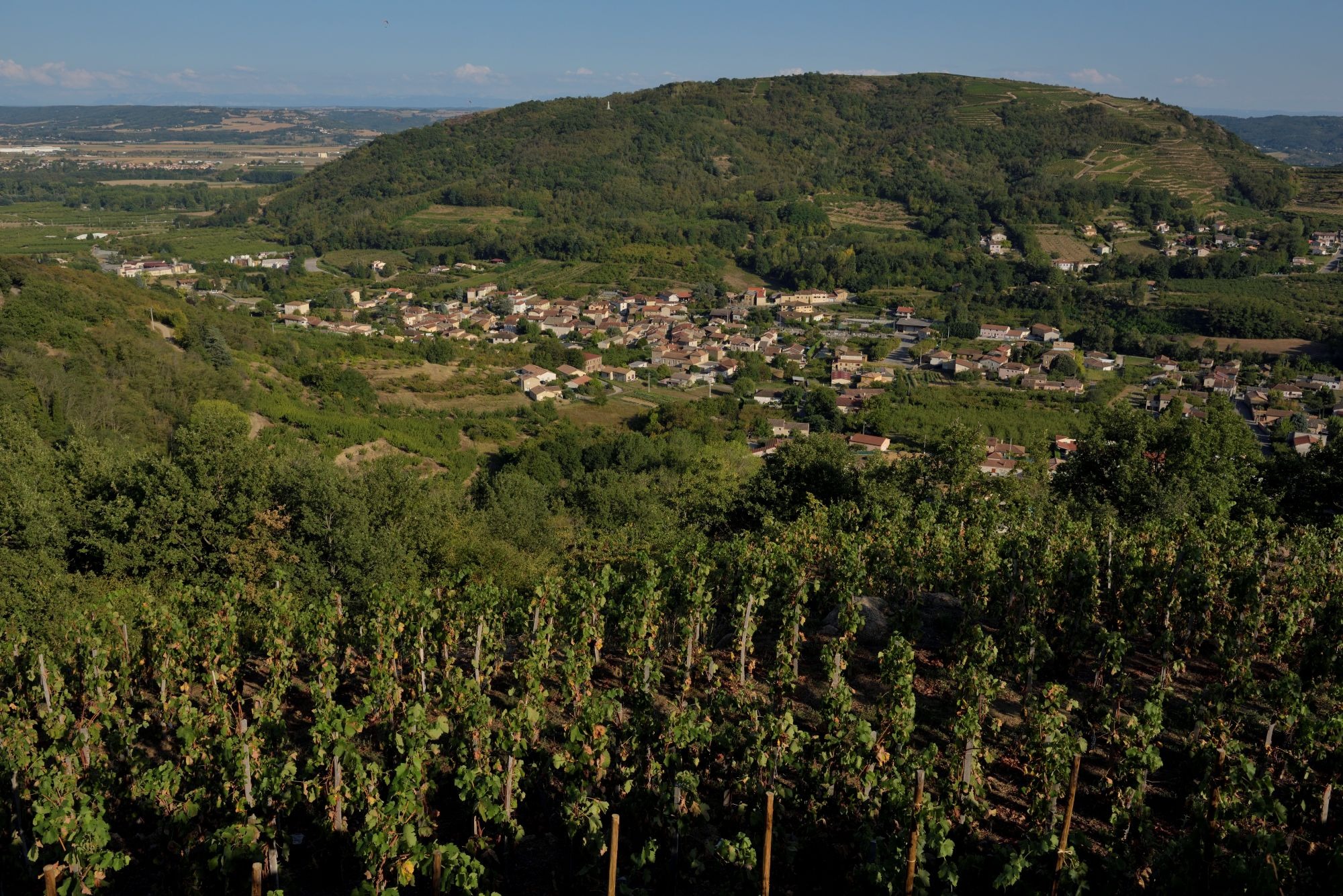 Saint-Désirat_Saint-Désirat