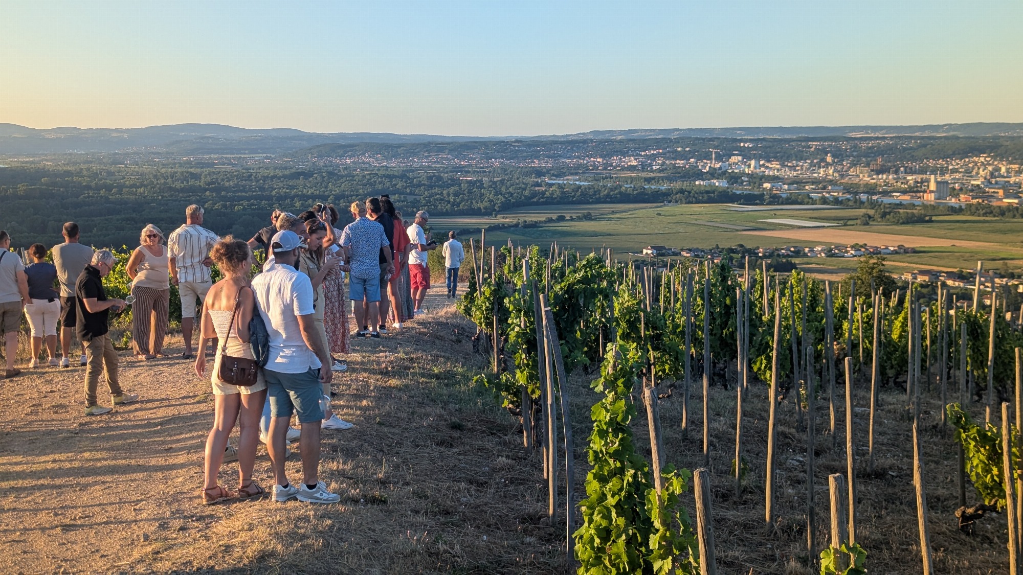 Apéro sunset dans les vignes - Domaines d'Aniello et Vallet_Félines