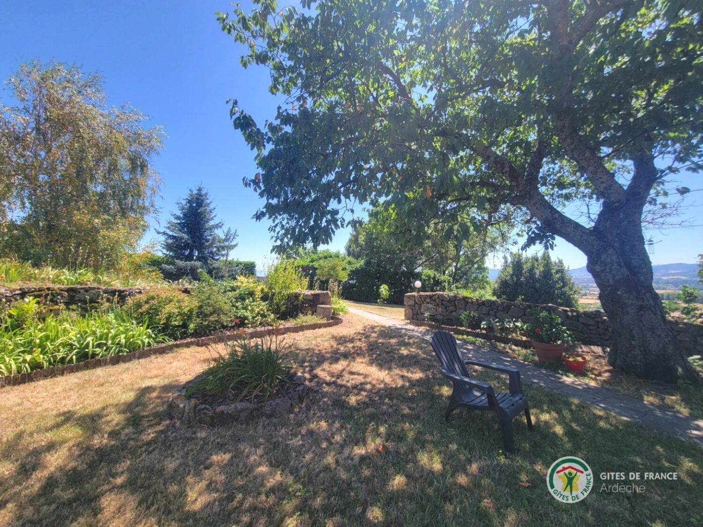 Détente à l'ombre d'un arbre