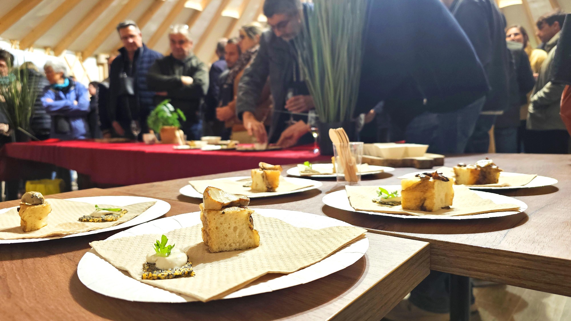 Banquet insolite au Safari de Peaugres_Peaugres