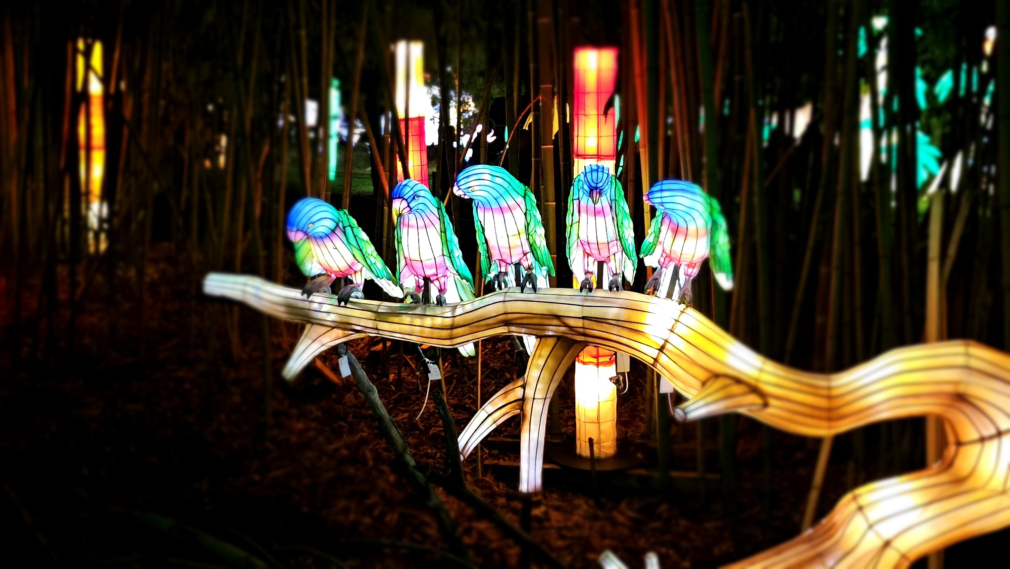 Banquet au Safari de Peaugres_Peaugres