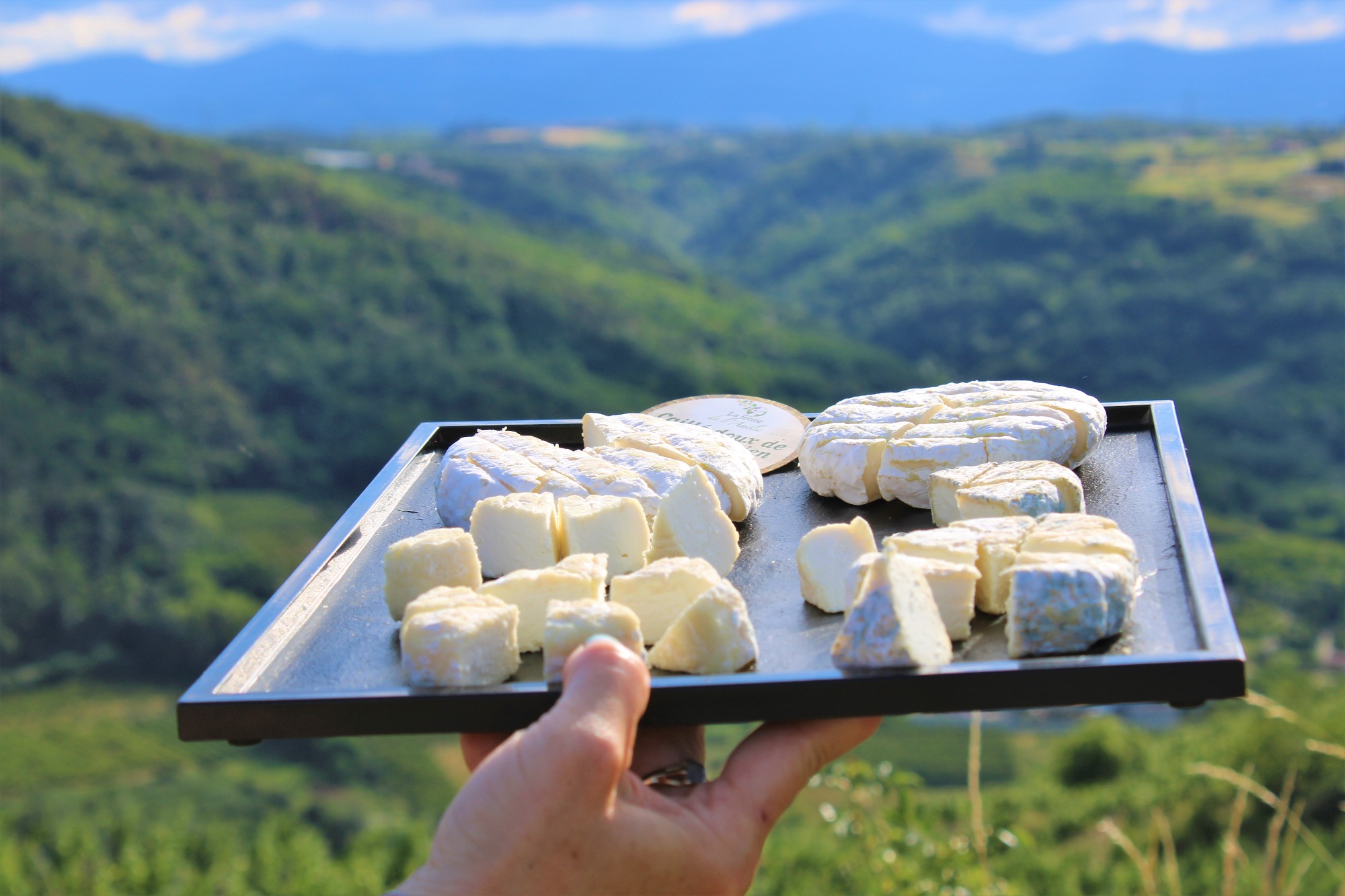 Balade gourmande dans les vignes_Saint-Désirat