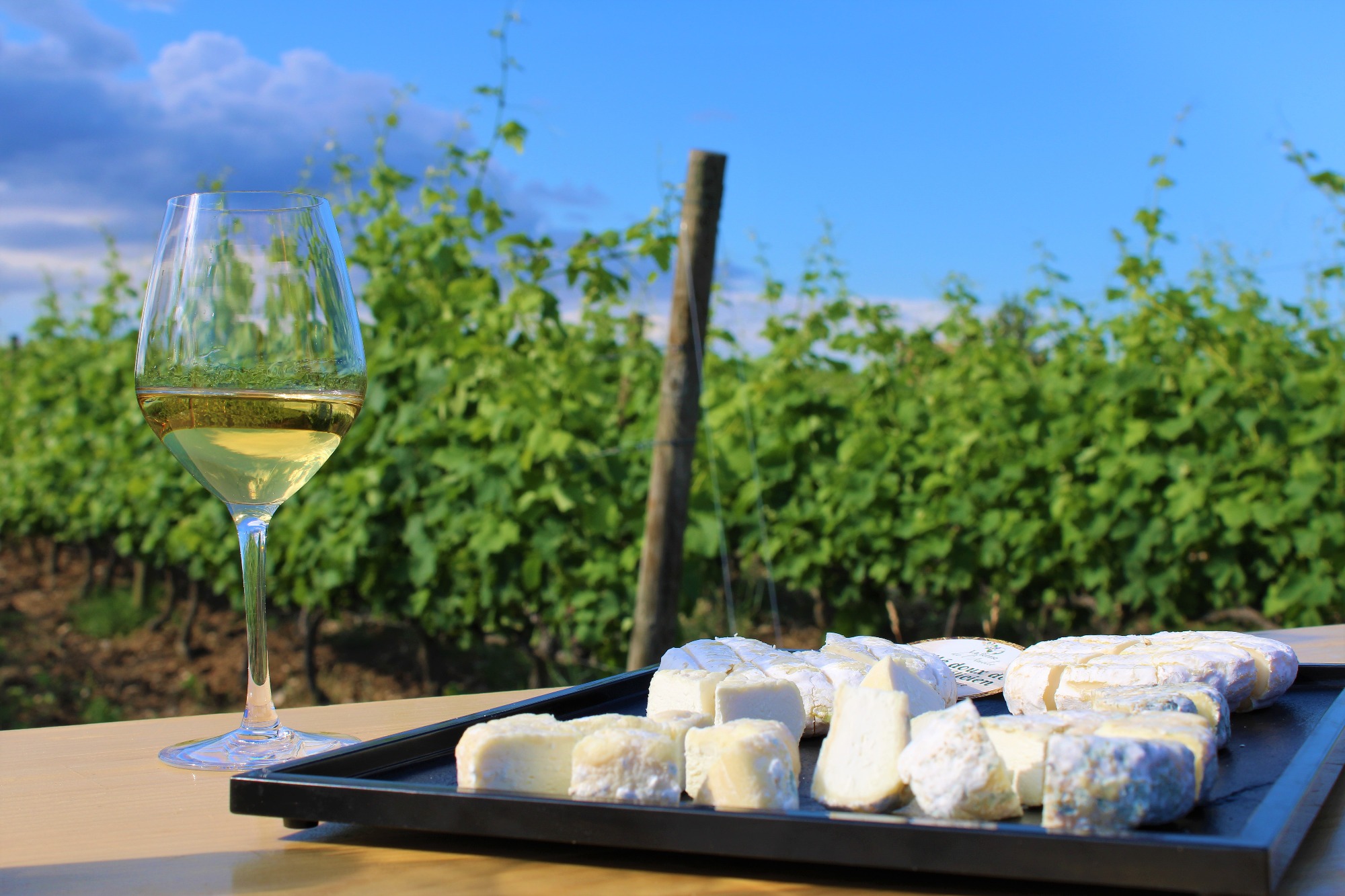 Balade gourmande dans les vignes_Saint-Désirat