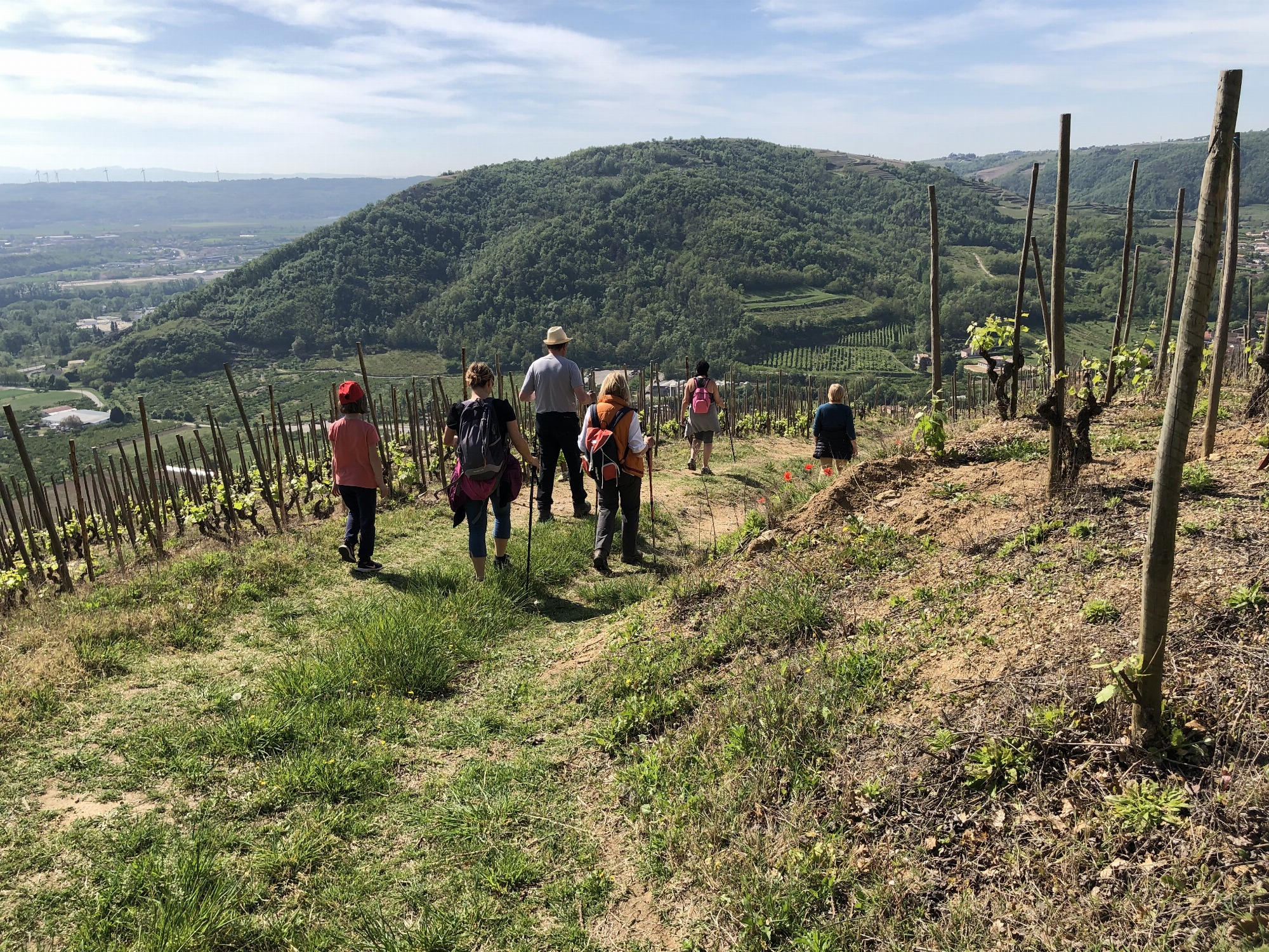 Balade gourmande dans les vignes_Saint-Désirat