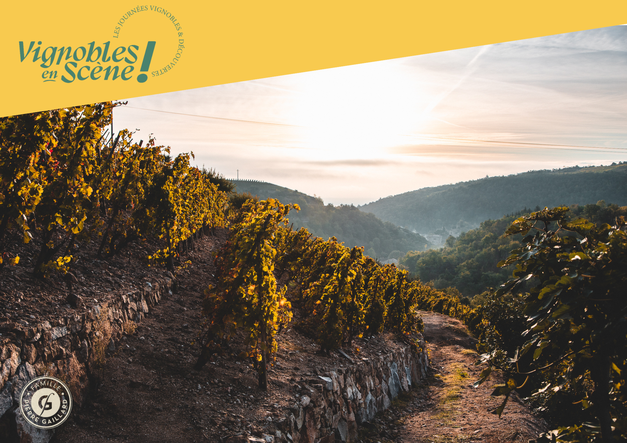 Rando Wine au Domaine Gaillard_Malleval