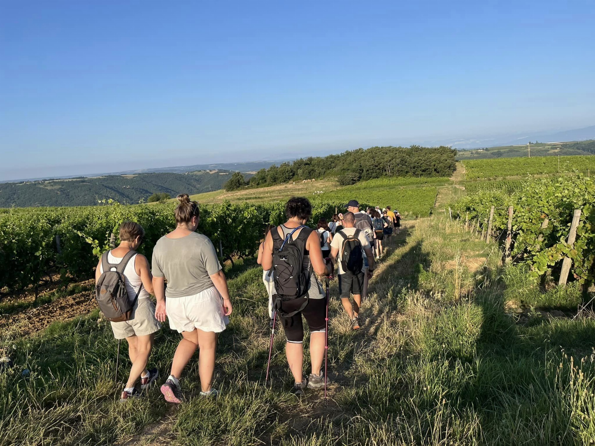 Rando wine (domaine L. Bertrand)_Ozon