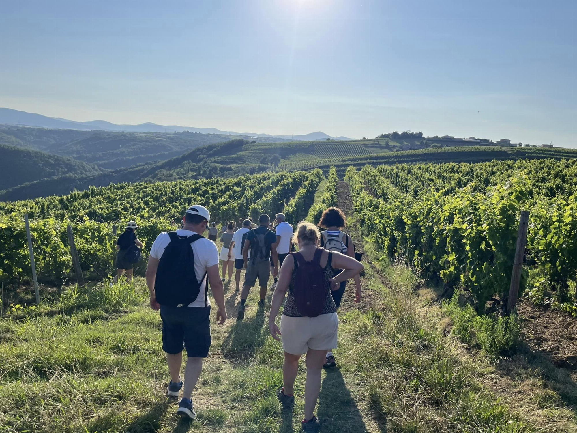 Rando wine (domaine L. Bertrand)_Ozon