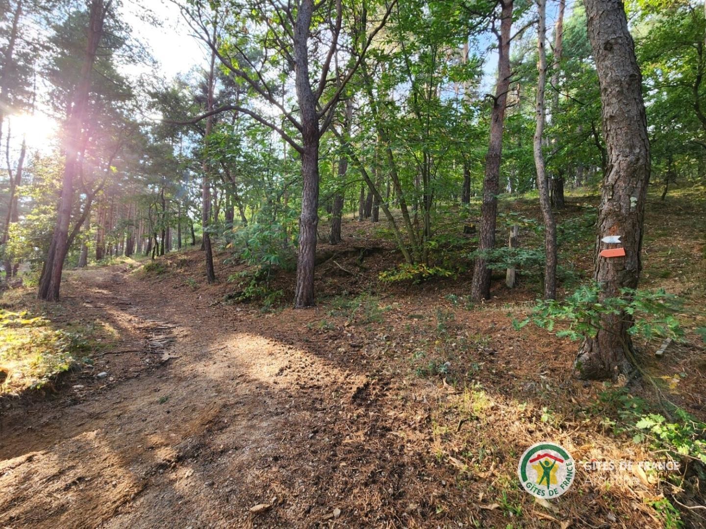 Sentier de ballade dans le terrain de la propriété