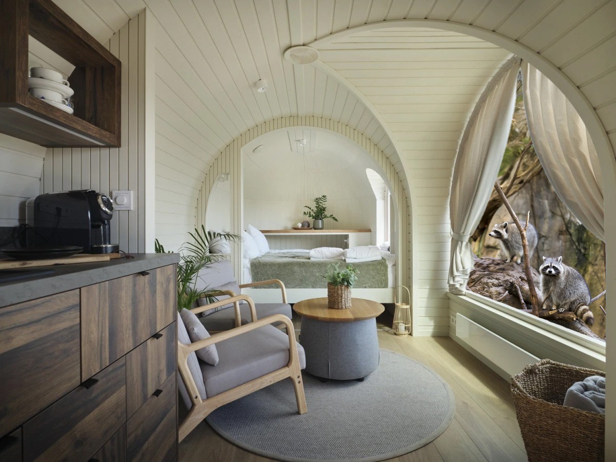 Les lodges au milieu des Ratons Laveurs_Peaugres