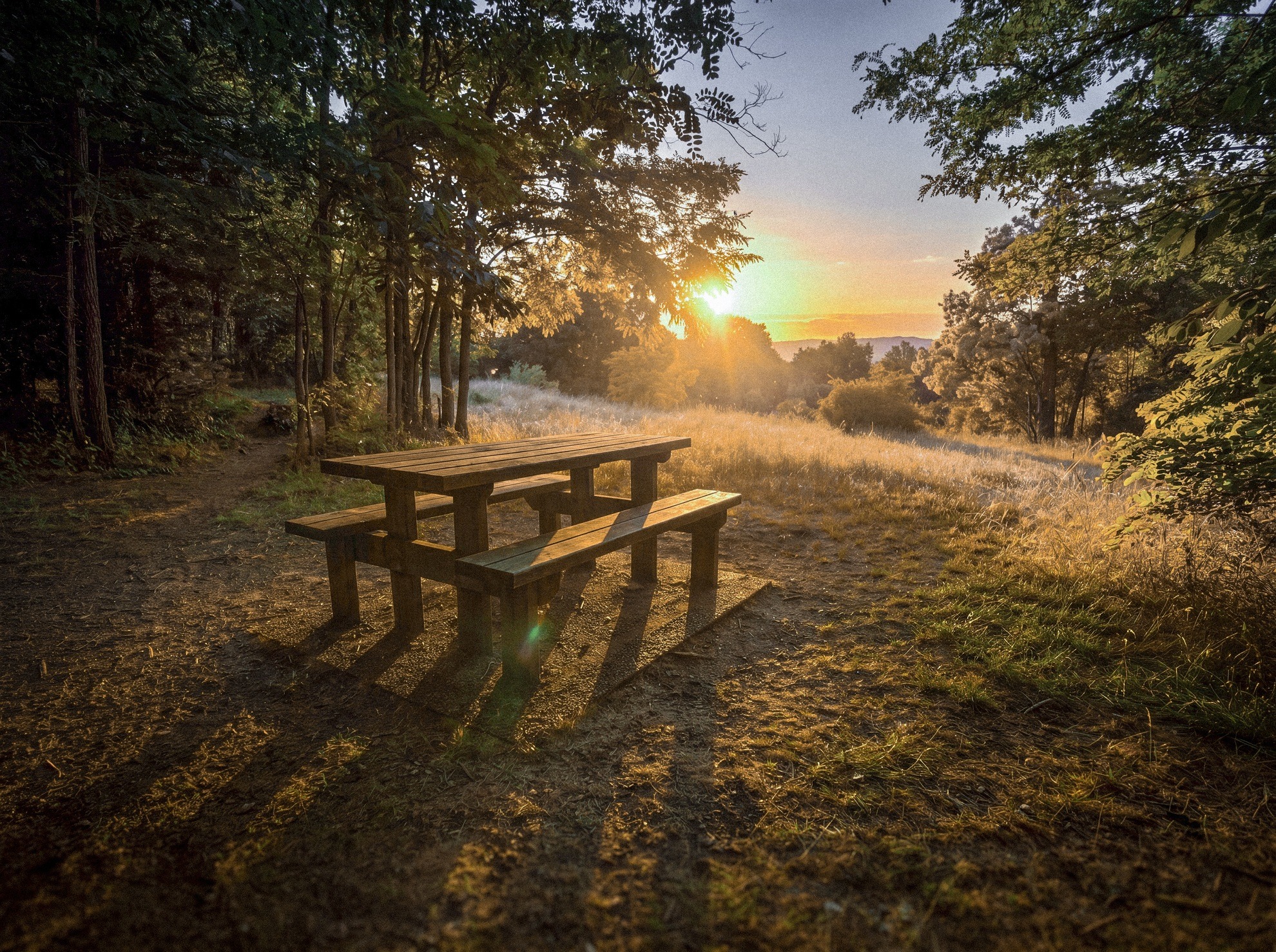 Fôret communale de Roiffieux_Roiffieux