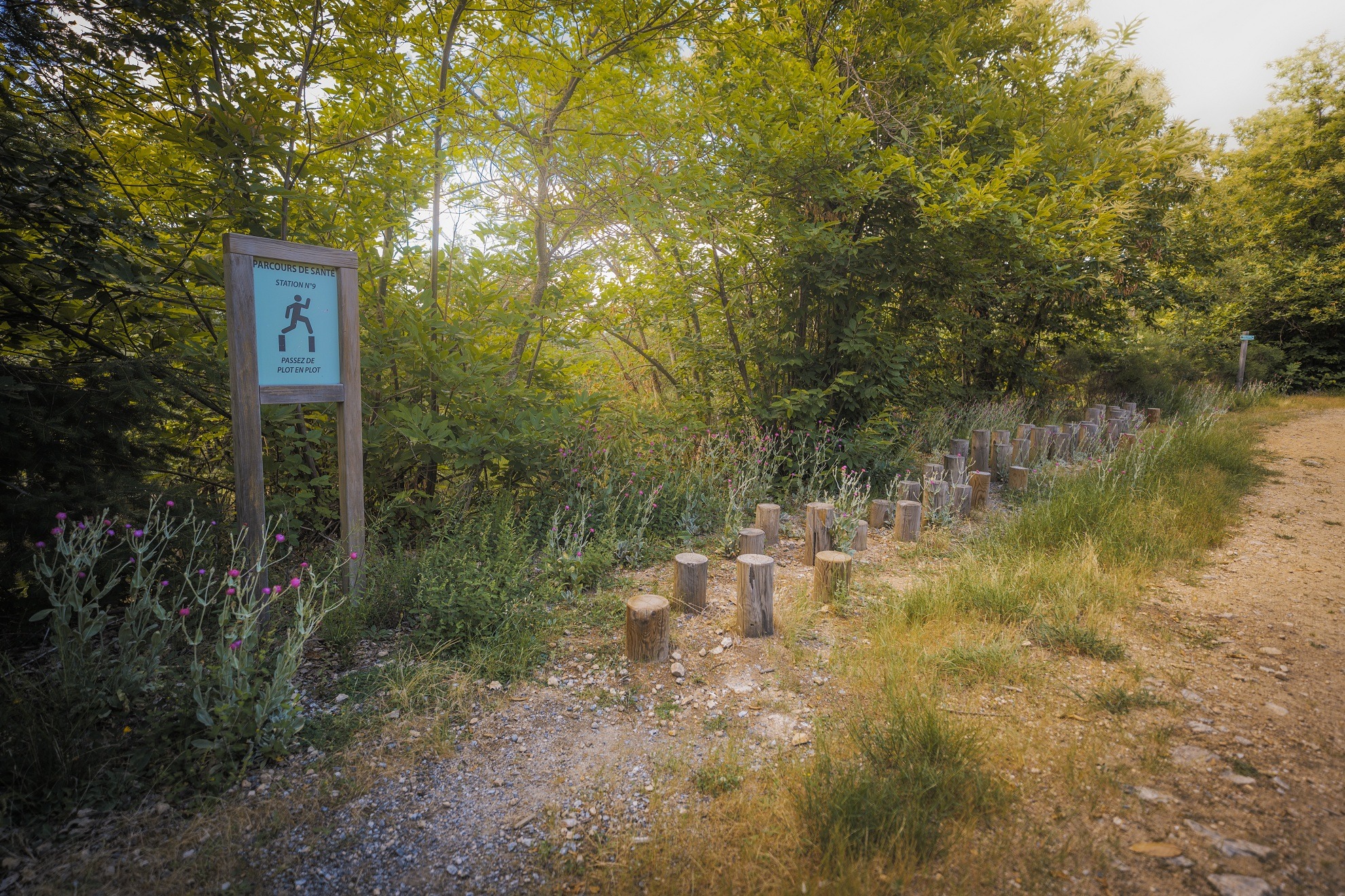 Fôret communale de Roiffieux_Roiffieux