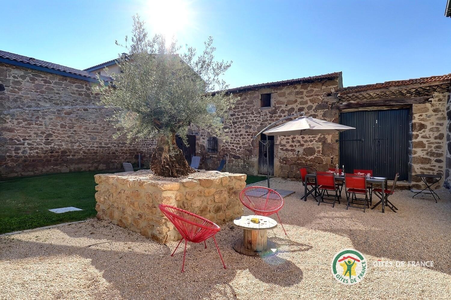 Terrasse et jardin clos du gîte avec un olivier au centre