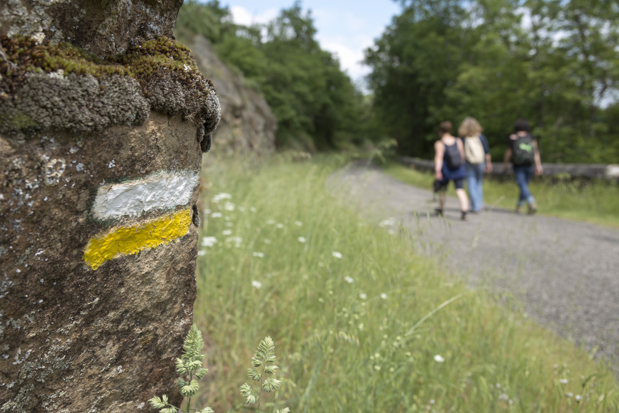 Randonnée La Roche Péréandre