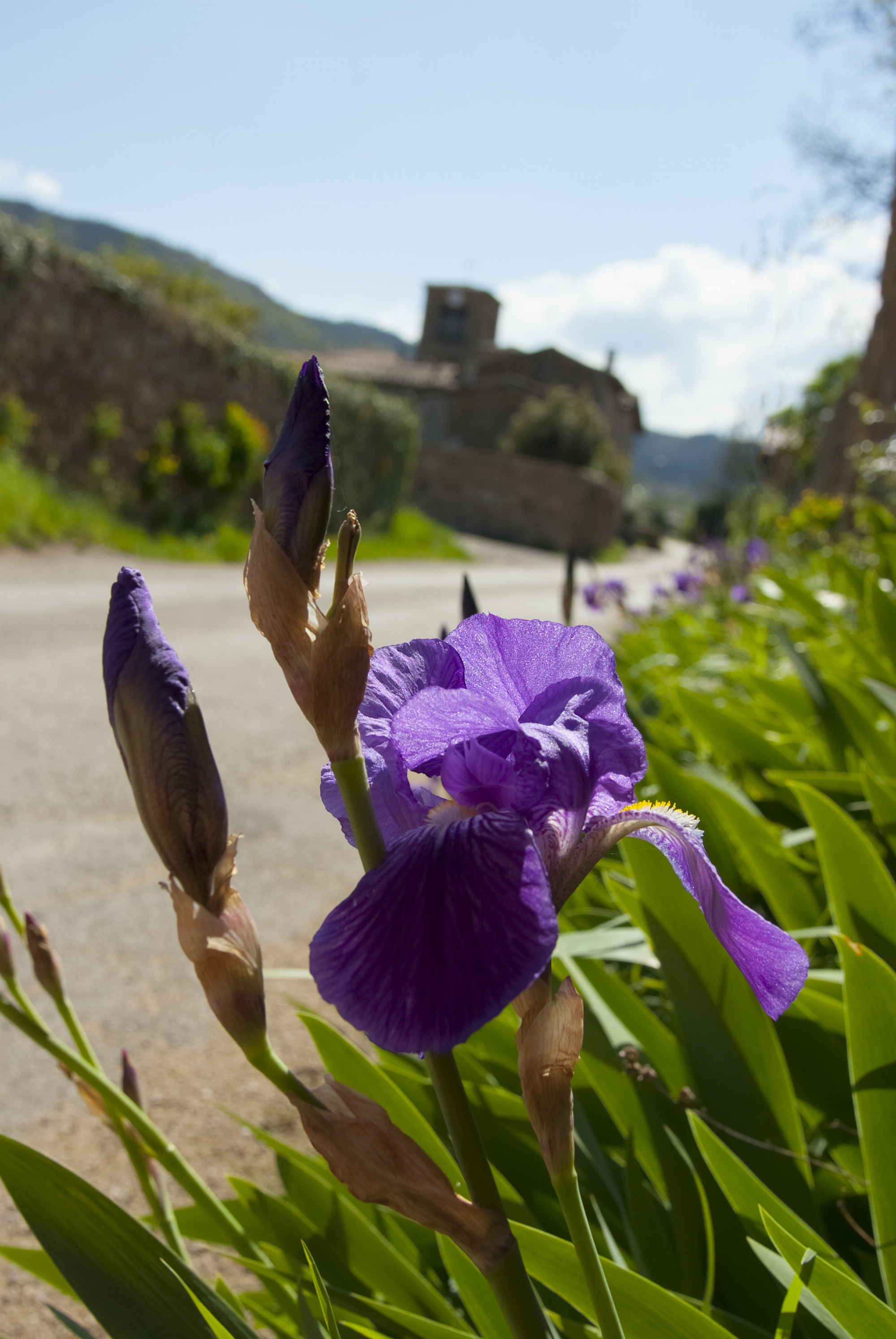 Village de Brossainc