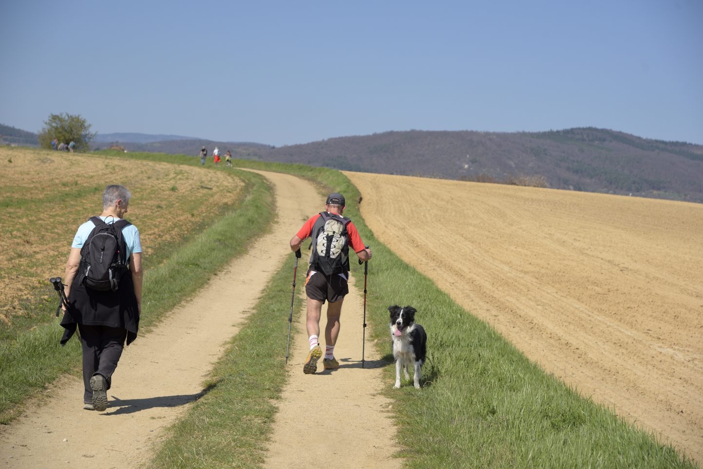Randonnée Le Château des Célestins