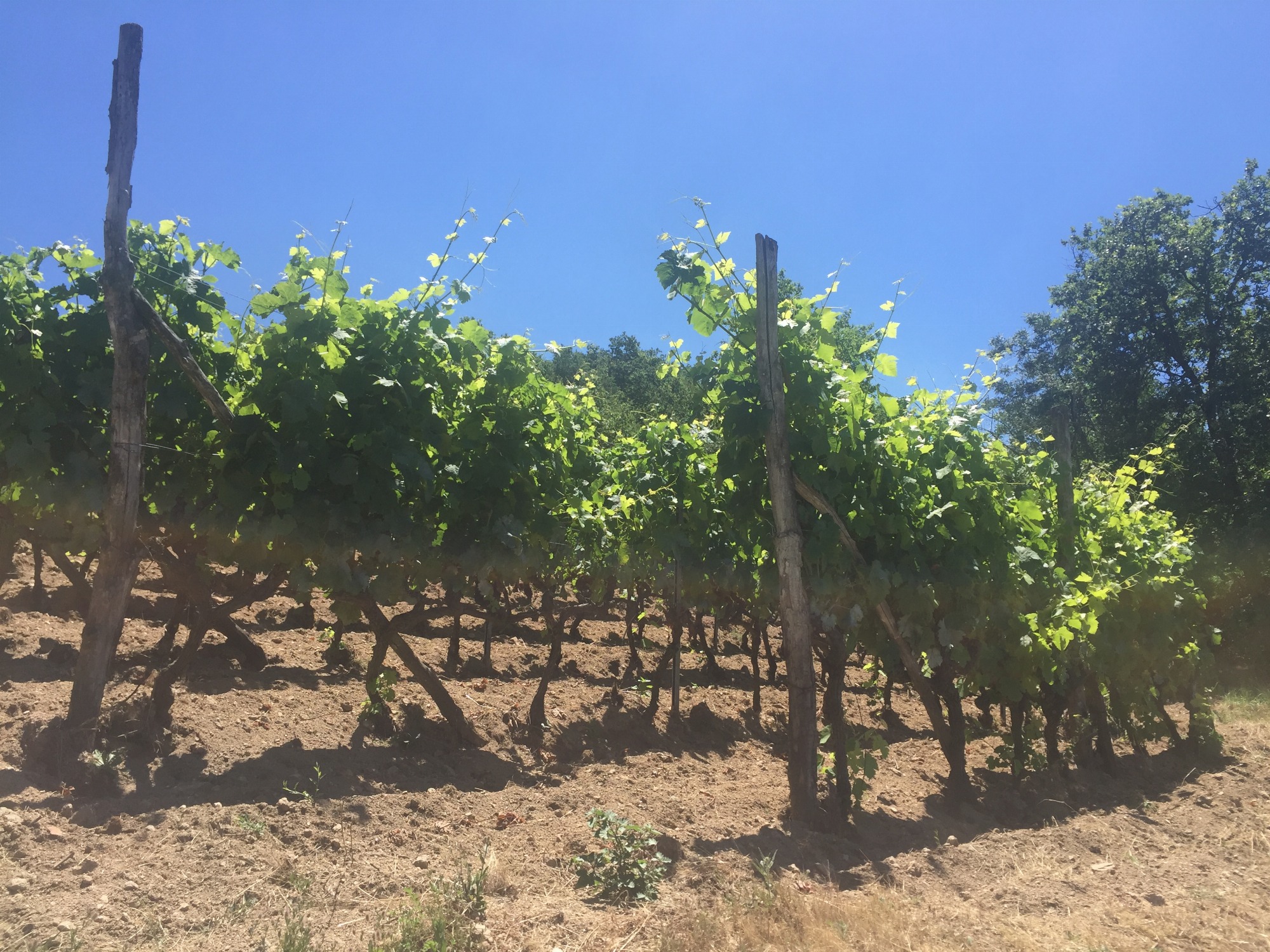 Randonnée le Châtelet