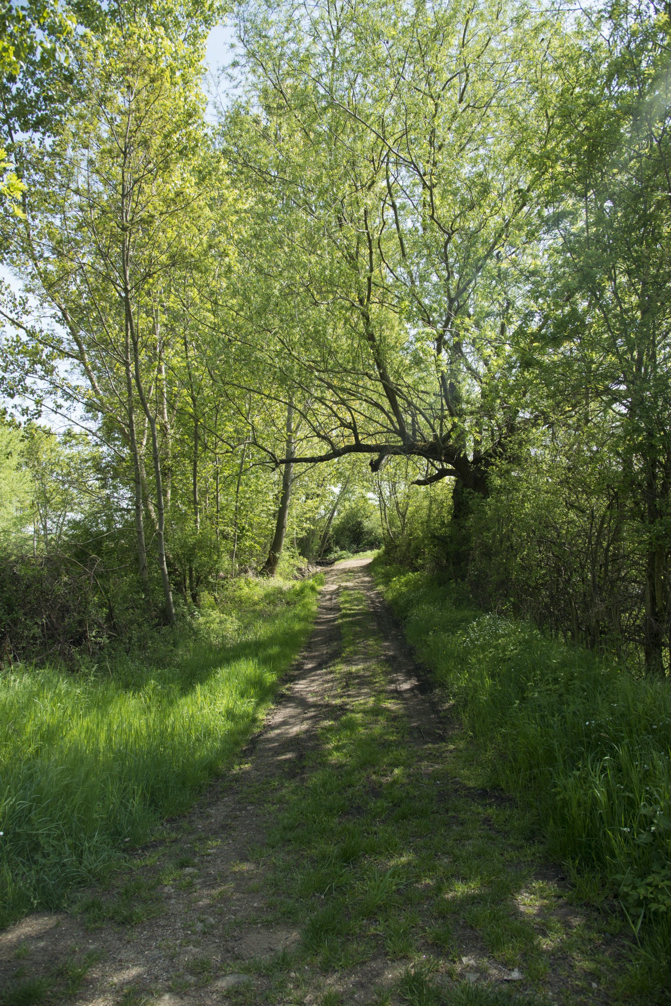 gites autour du safari de peaugres