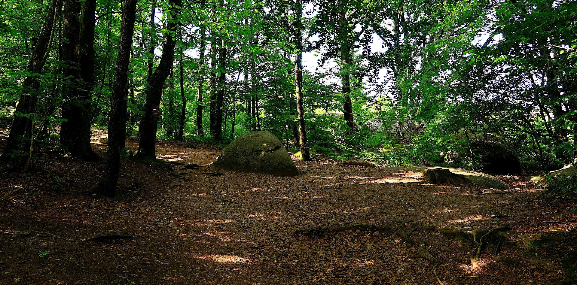 Balade contée - L'Arboretum de Villevocance_Villevocance