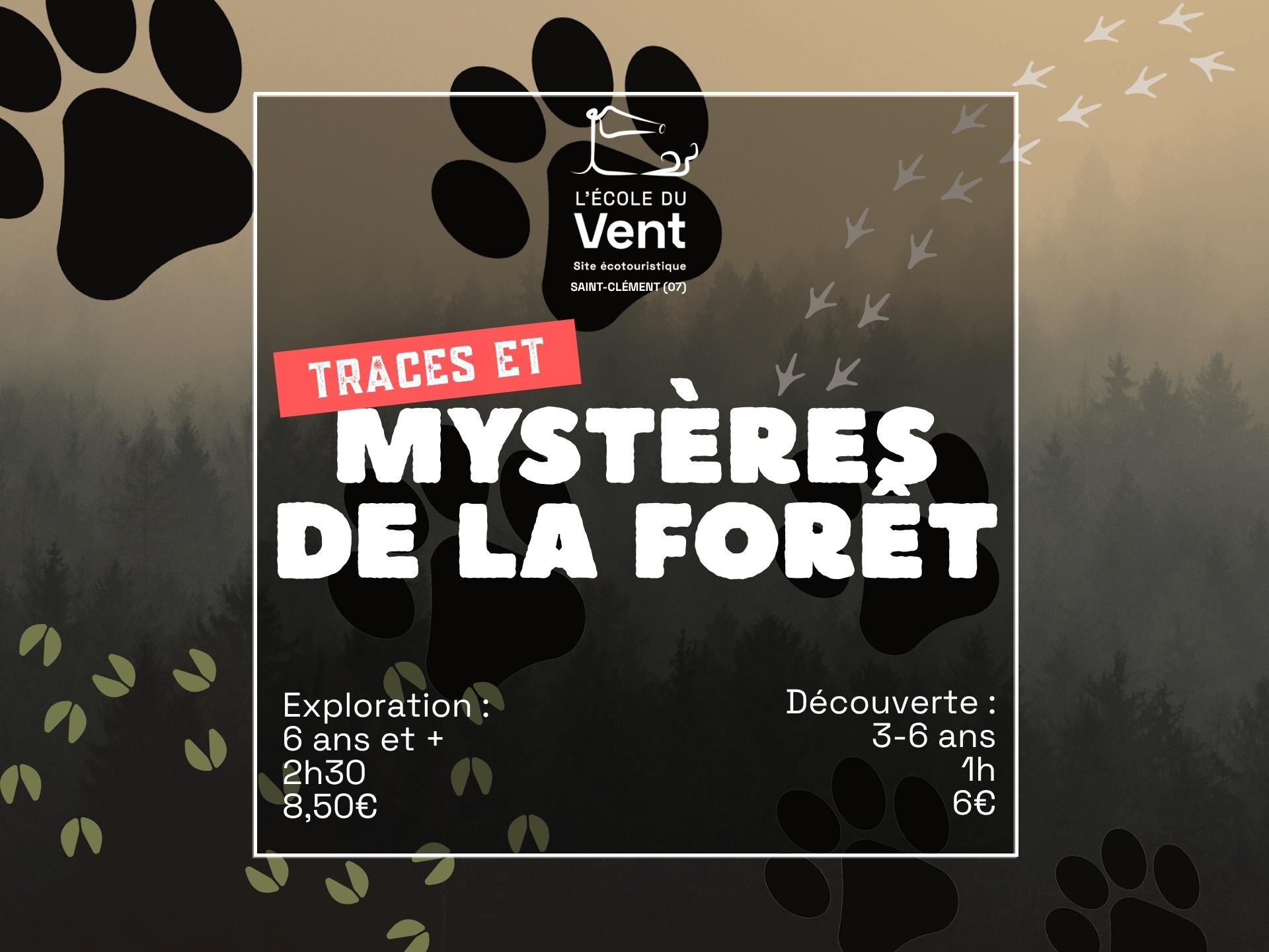 Traces & mystères de la forêt
