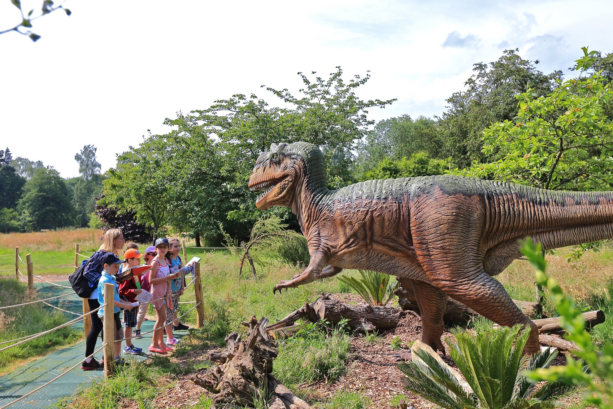 Sur les traces des géants disparus_Peaugres