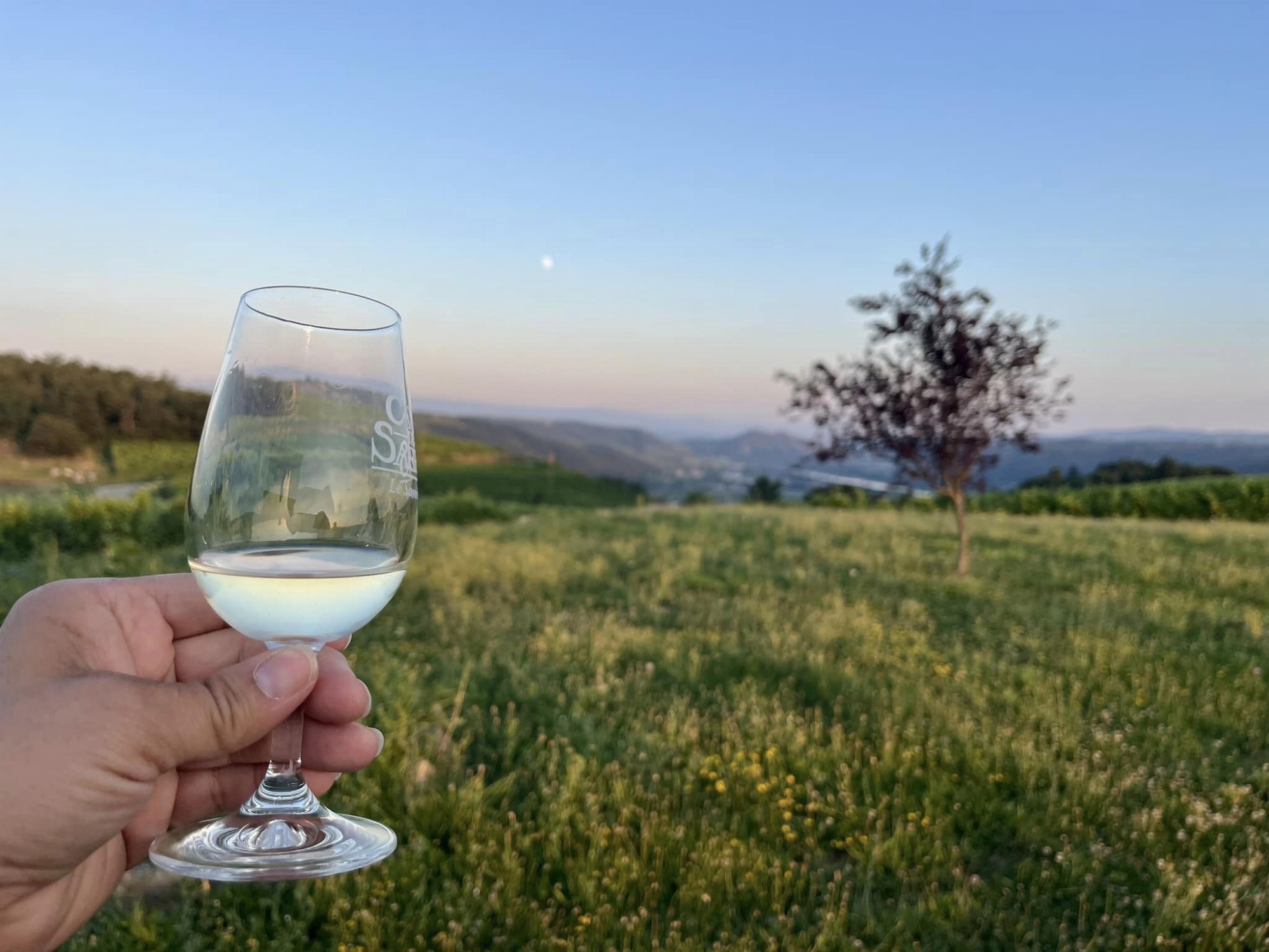 Apéro sunset dans les vignes (Domaine L. Bertrand)_Ozon