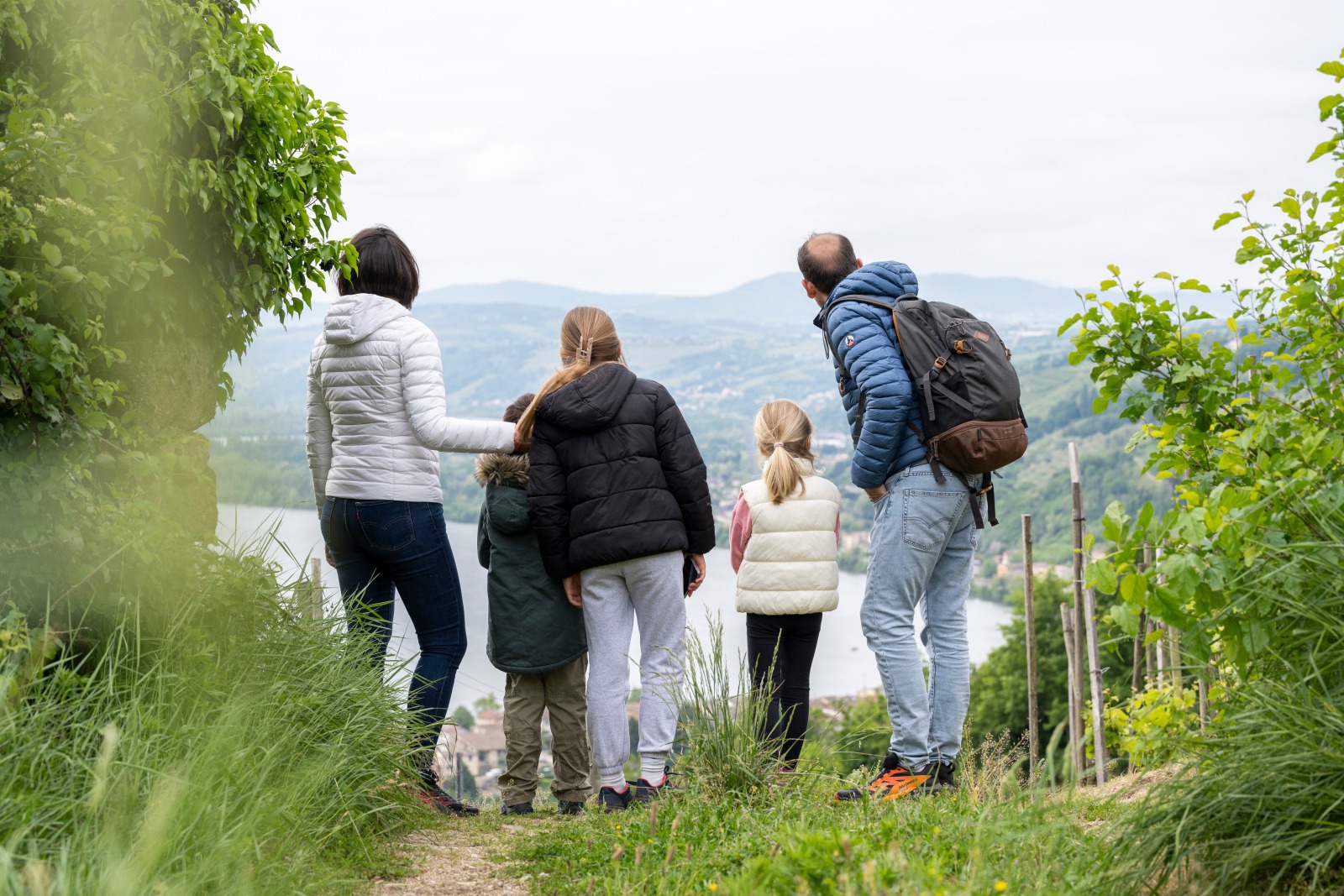 Une famille de cinq personnes se tient, de dos, entre des vignes et regarde le Rhône en contrebas