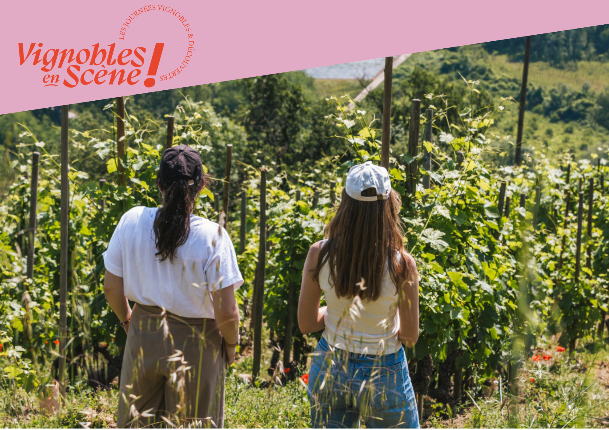 Rando Wine au Domaine de Pimotin_Tupin-et-Semons