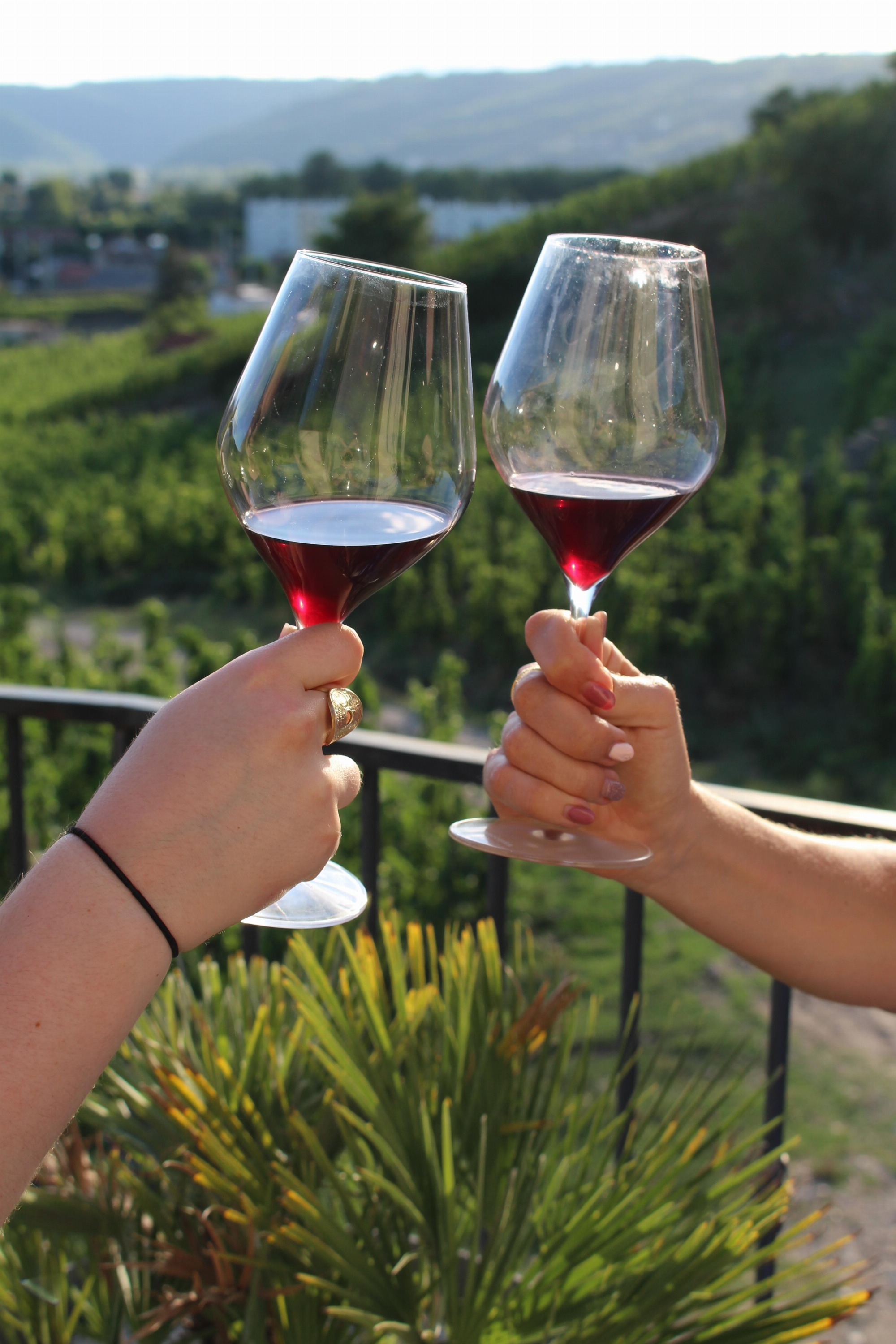 Apéro-vignes_Tournon-sur-Rhône