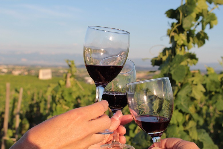 Apéro-vignes au Domaine des Granges_La Roche-de-Glun