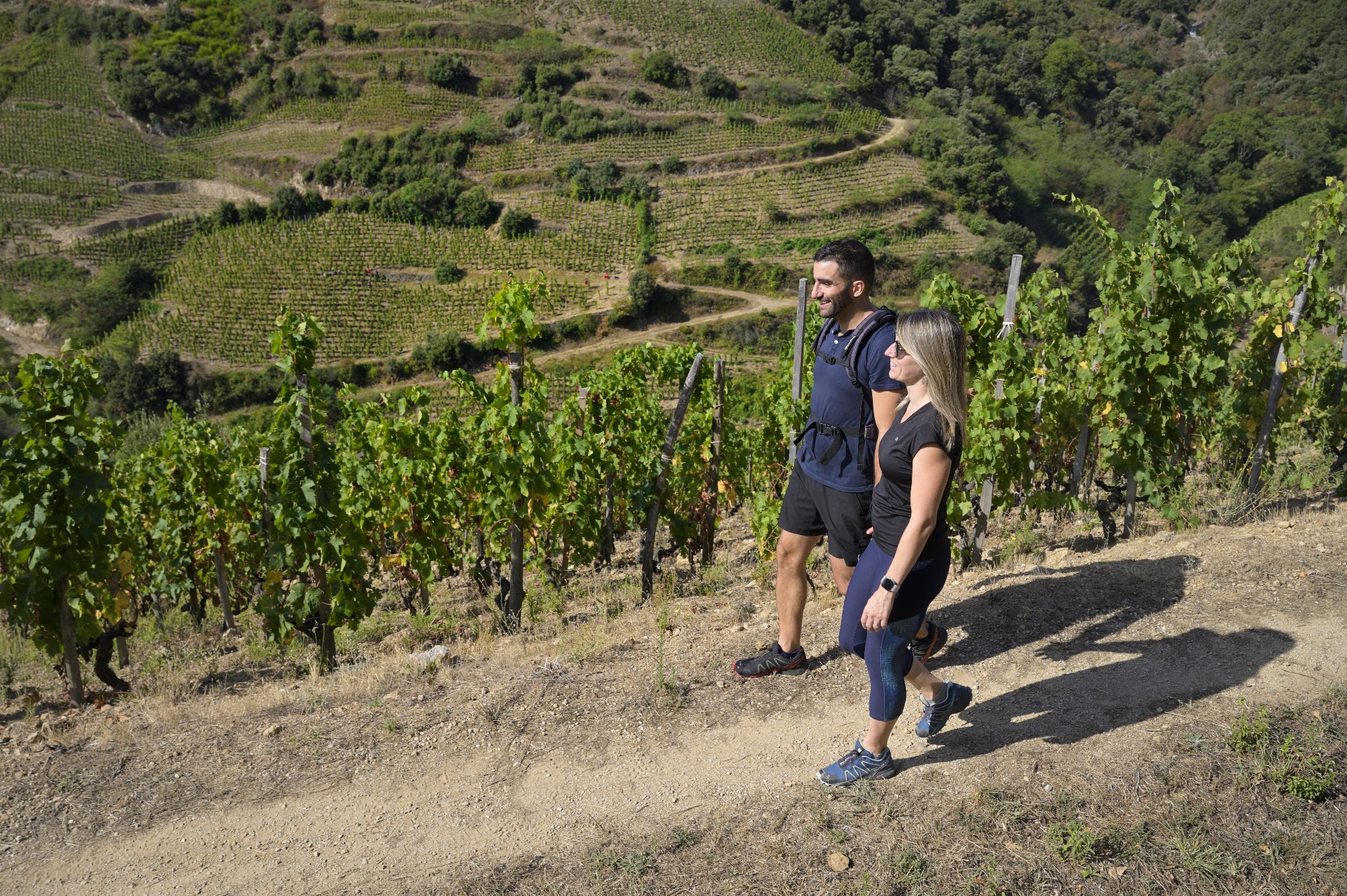 Rando Wine au Domaine du Coulet - Matthieu Barret_Cornas
