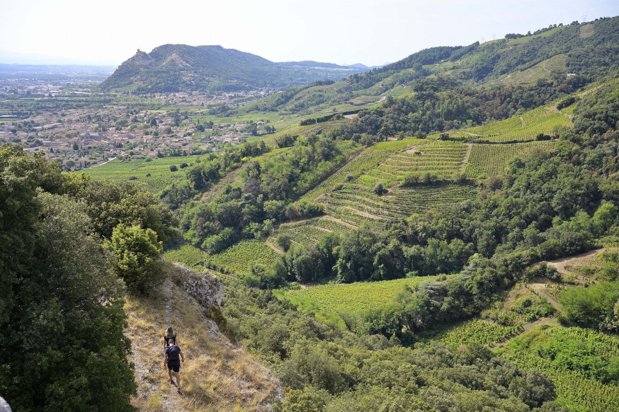 Rando Wine au Domaine du Coulet - Matthieu Barret_Cornas