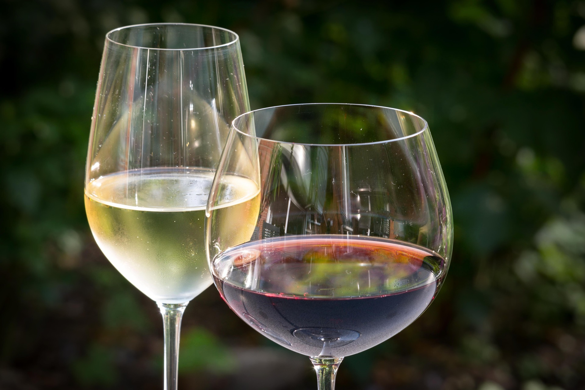 Domaine Oriol_Saint-Cyr