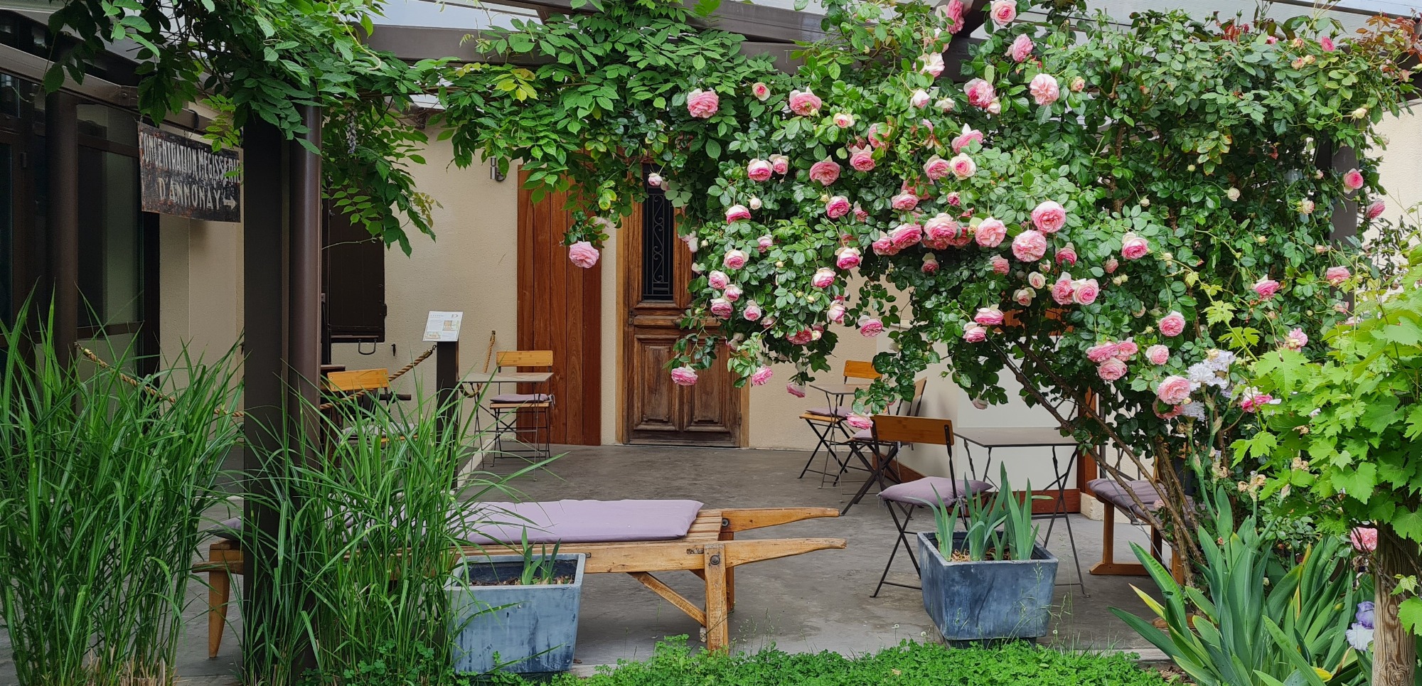 Le patio 