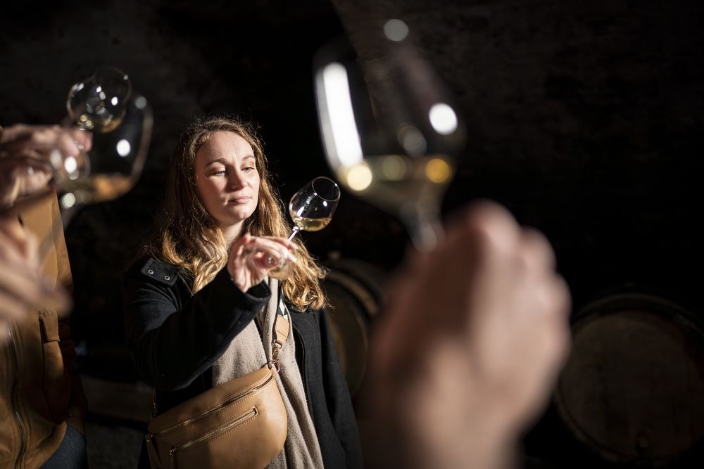 Dégustation de vins
