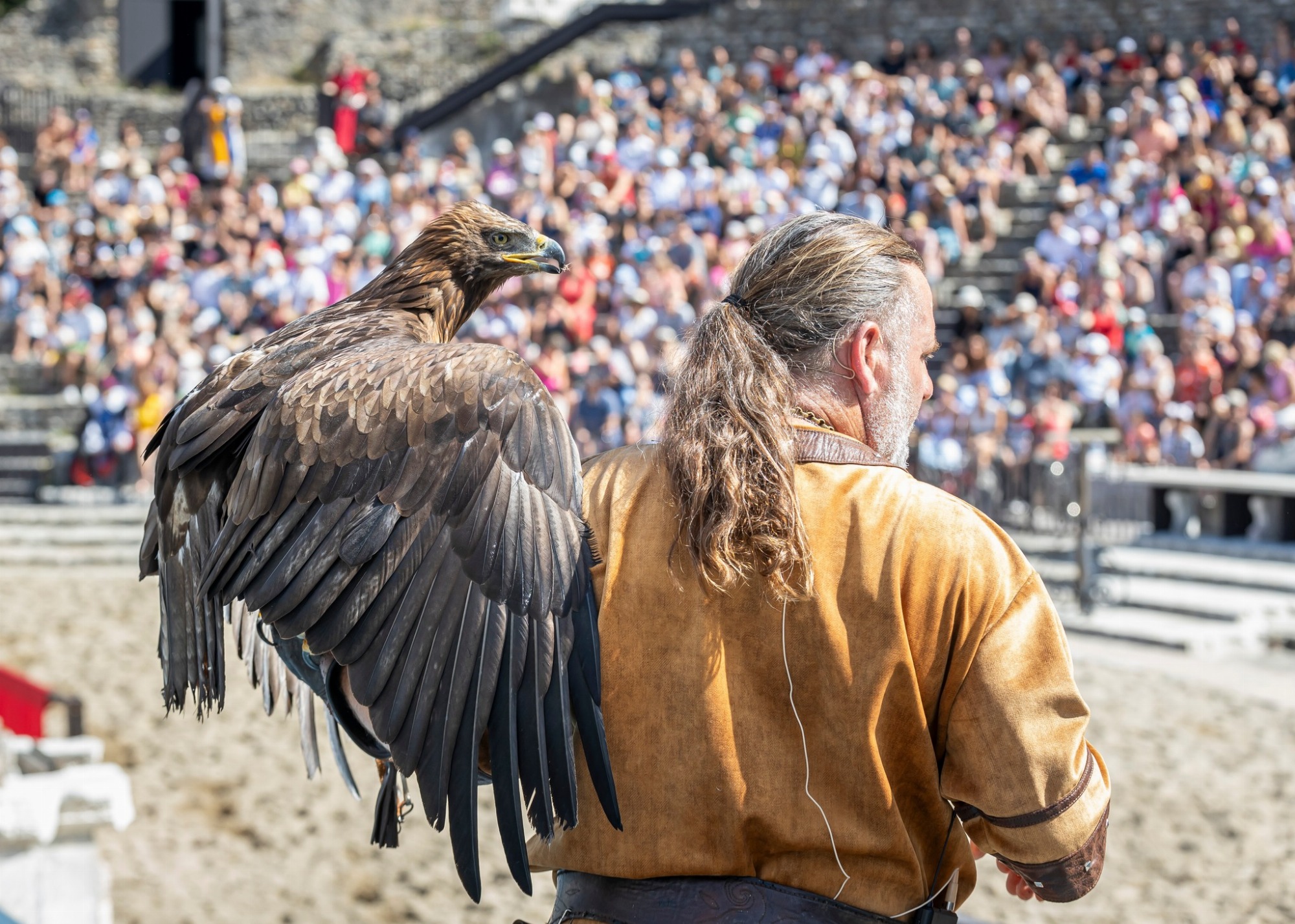 Spectacle équestre et fauconnerie : Les chevaliers de l’anneau sacré_Vienne