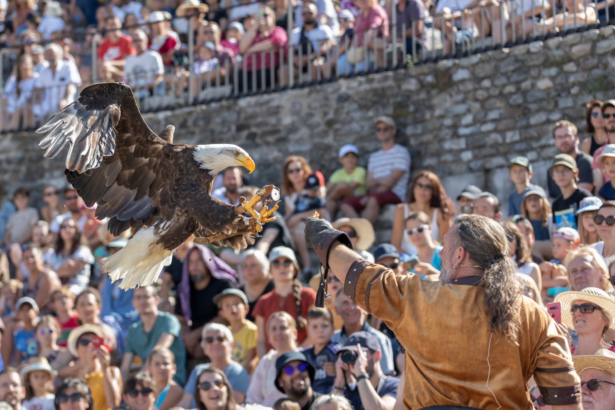 Spectacle équestre et fauconnerie : Les chevaliers de l’anneau sacré_Vienne