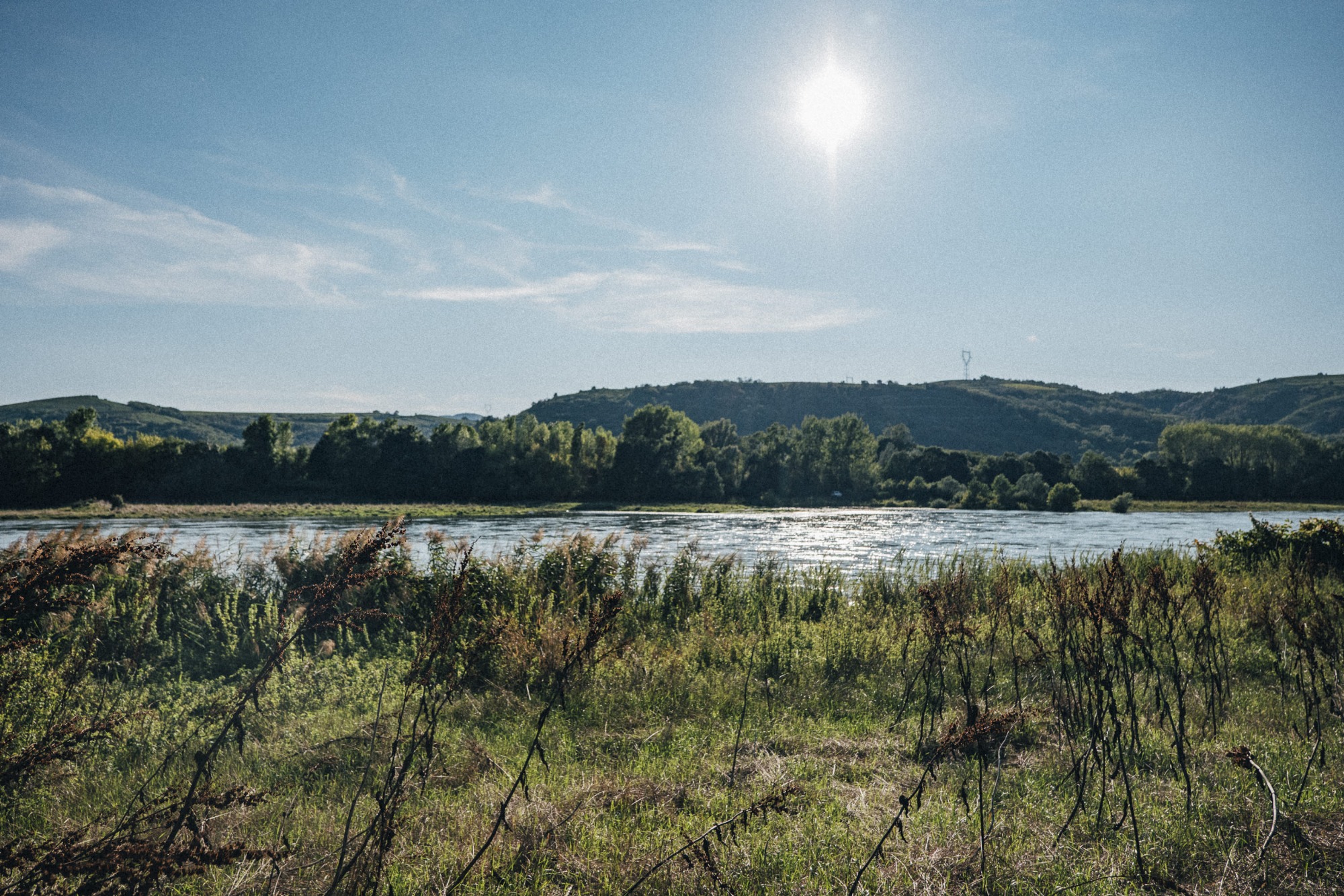 Excursion au cœur de la Réserve Naturelle_Le Péage-de-Roussillon
