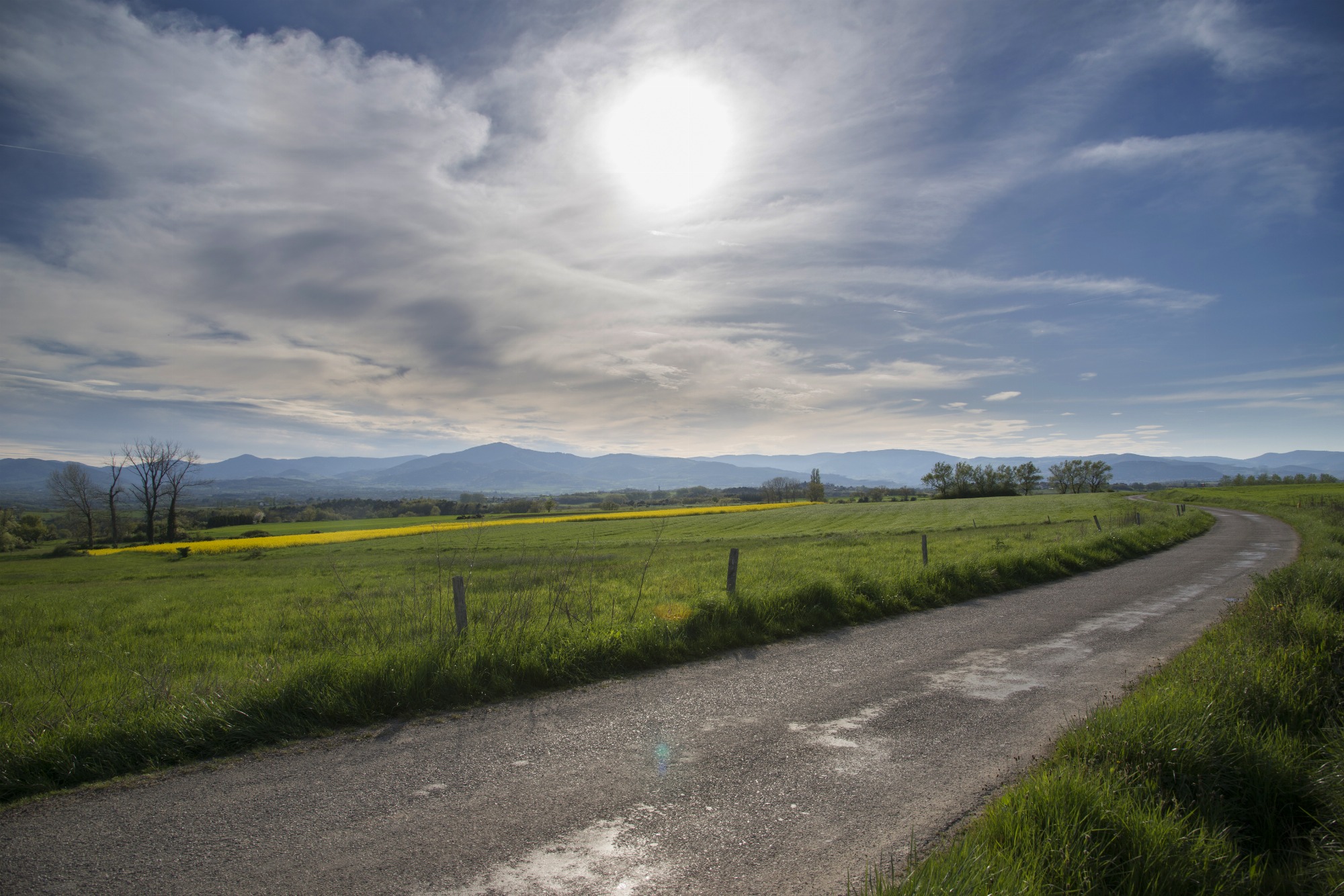 Circuit voiture entre vignes et coteaux