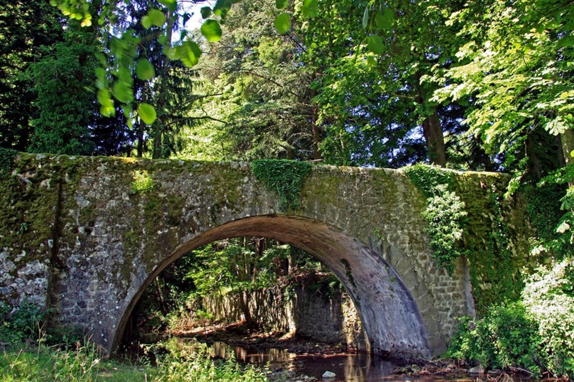 Pont